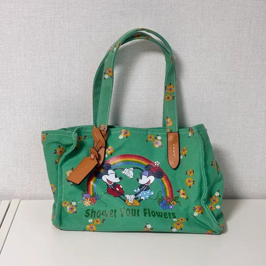 [BUNJANG] Coach x Disney 100th Anniversary Limited Edition Canvas Tote Bag / 디즈니 100주년 코치 콜라보 한정 캔버스 토트백