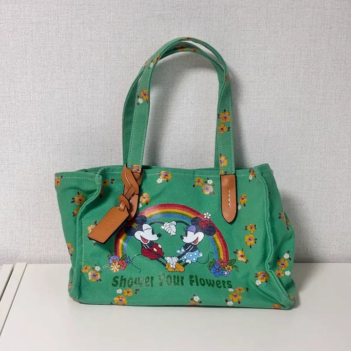 [BUNJANG] Coach x Disney 100th Anniversary Limited Edition Canvas Tote Bag / 디즈니 100주년 코치 콜라보 한정 캔버스 토트백