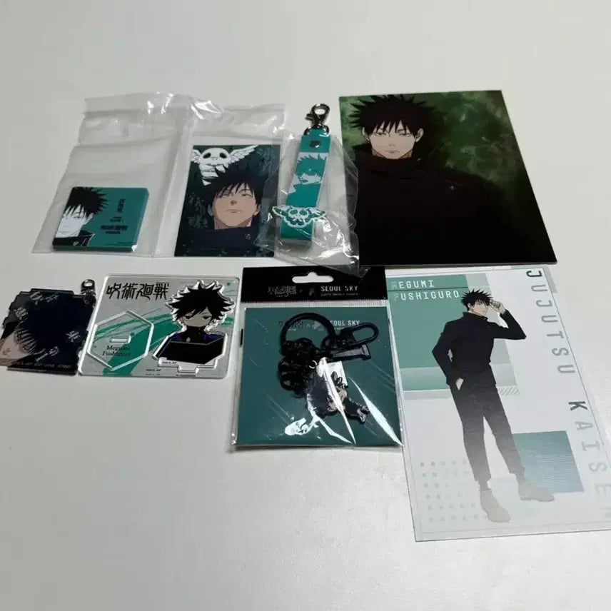 [BUNJANG] Jujutsu Kaisen Fushiguro Megumi Merchandise Bundle / 주술회전 후시구로 메구미 굿즈