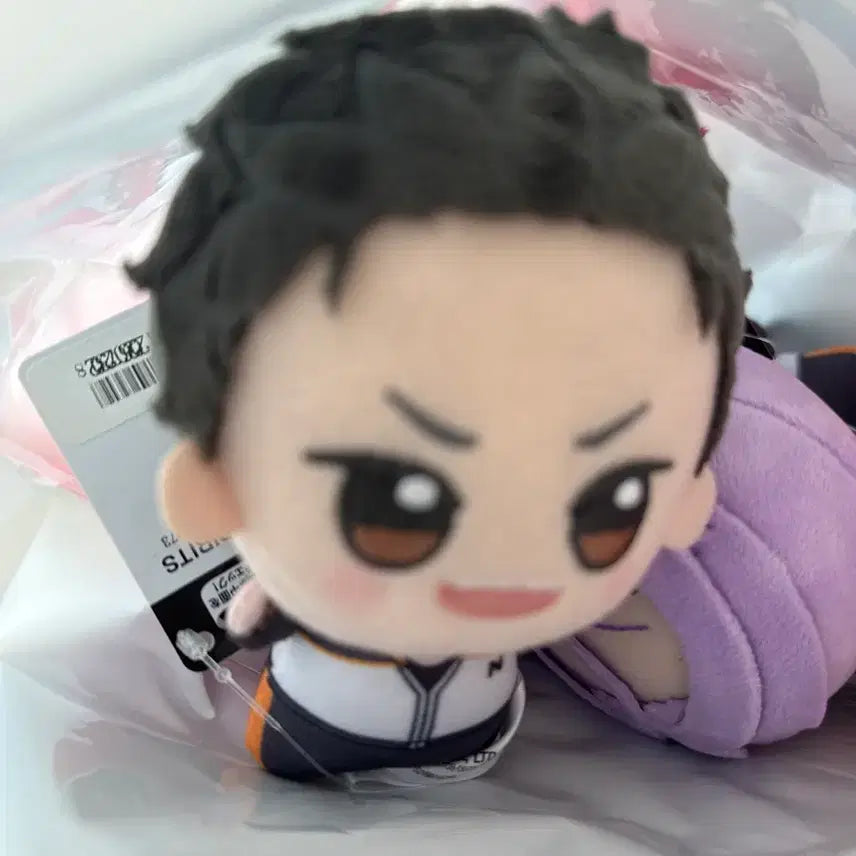 [BUNJANG] Re:Zero Natsuki Subaru Chibi Plush / Re: 제로부터 시작하는 이세계 생활 리제로 gigo 치비구루미 치비누이 나츠키 스바루