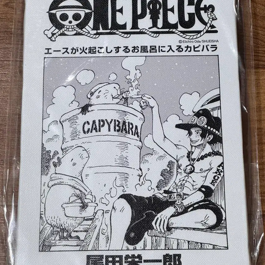[BUNJANG] Jump Shop One Piece Art Board Ace (Sealed) / 점프샵 원피스 속표지 아트 보드 에이스 미개봉 새상품