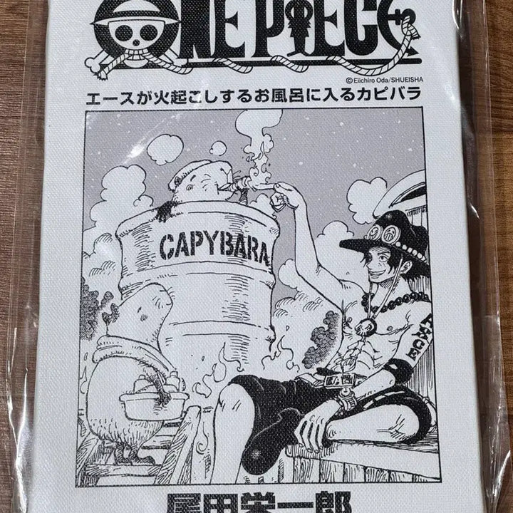 [BUNJANG] Jump Shop One Piece Art Board Ace (Sealed) / 점프샵 원피스 속표지 아트 보드 에이스 미개봉 새상품