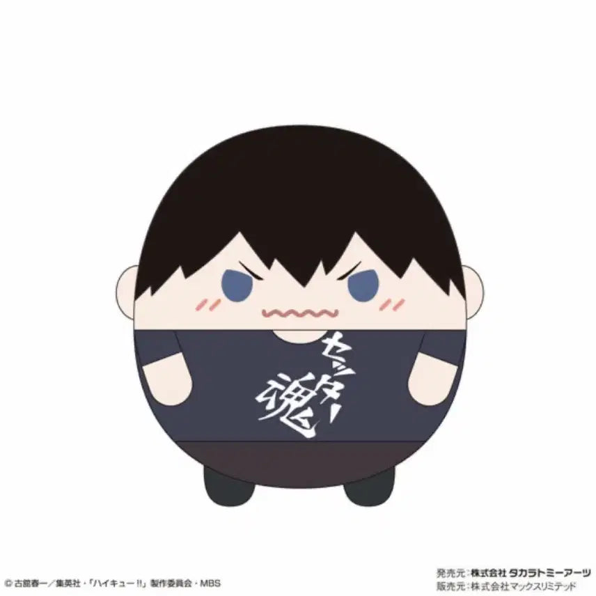 [BUNJANG] Haikyuu!! Kageyama Tobio Fuwa Fuwa Plush M Size (Sealed) / 하이큐 카게야마 후와 미개봉 M 사이즈
