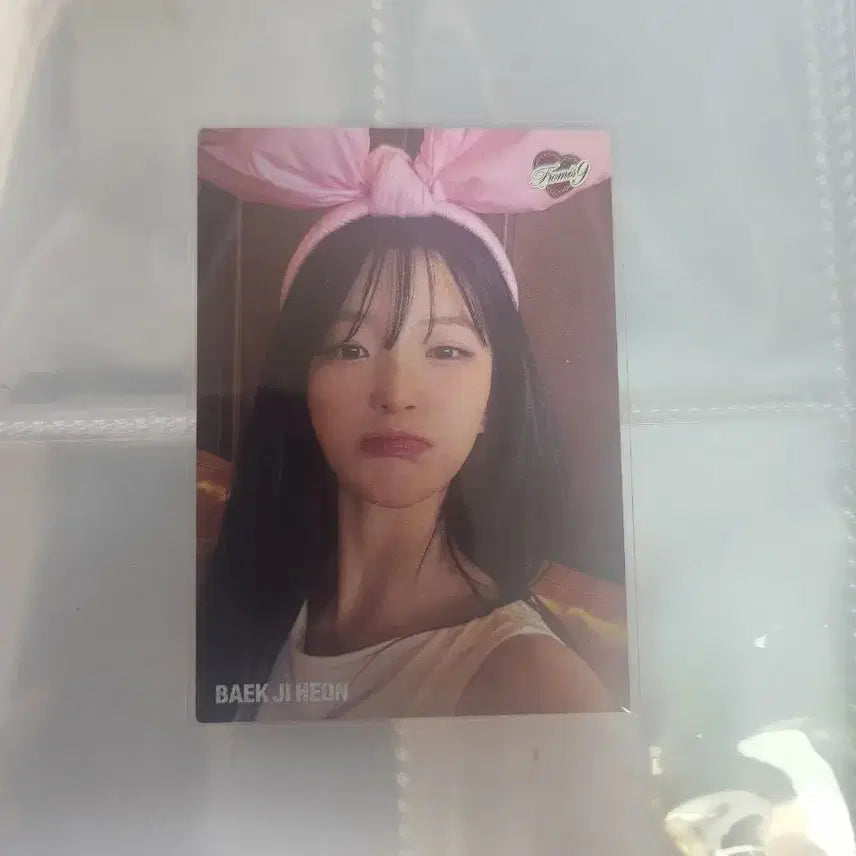 [BUNJANG] Fromis_9 Baek Ji Heon Limited Edition Terrapin / 테레카 프로미스나인 백지헌 한정
