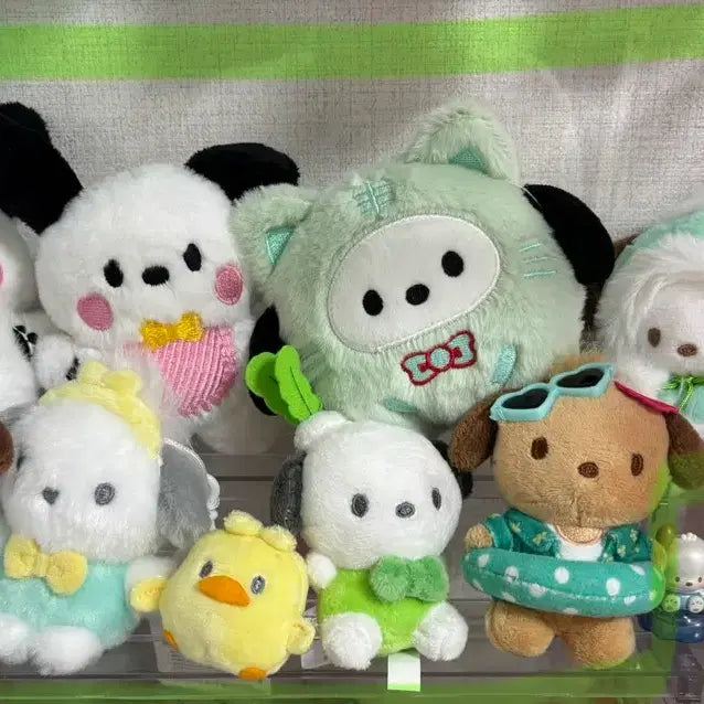 [BUNJANG] Pochacco Doll Keychain Bundle Set / 포차코 인형 키링 8개 일괄