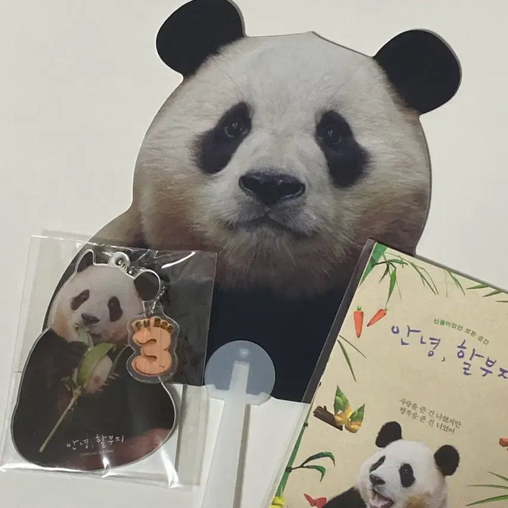 [BUNJANG] Fu Bao Sealed Mirror + Fan + Postcard Set / (미개봉) 푸바오 거울 + 부채 + 엽서 2종