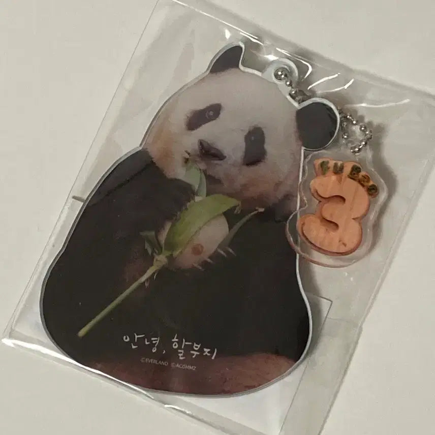 [BUNJANG] Fu Bao Sealed Mirror + Fan + Postcard Set / (미개봉) 푸바오 거울 + 부채 + 엽서 2종