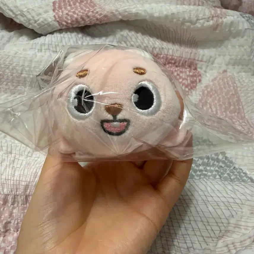 [BUNJANG] Day6 Denimals Plush Lying Phil / 데이식스 데니멀즈 플러시 라잉 필  미개봉 양도 합니다