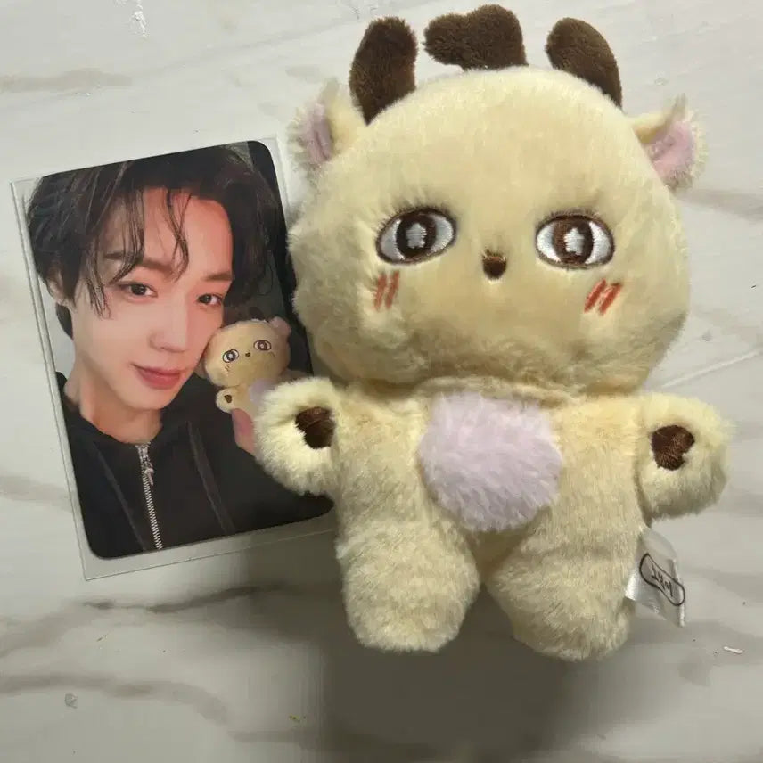 [BUNJANG] Park Jihoon &