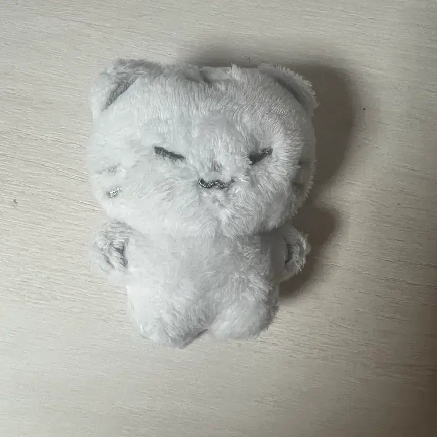 [BUNJANG] SEVENTEEN Hoshi Hoshii Doll / 세븐틴 호시 홋찌 인형 팔아요!!