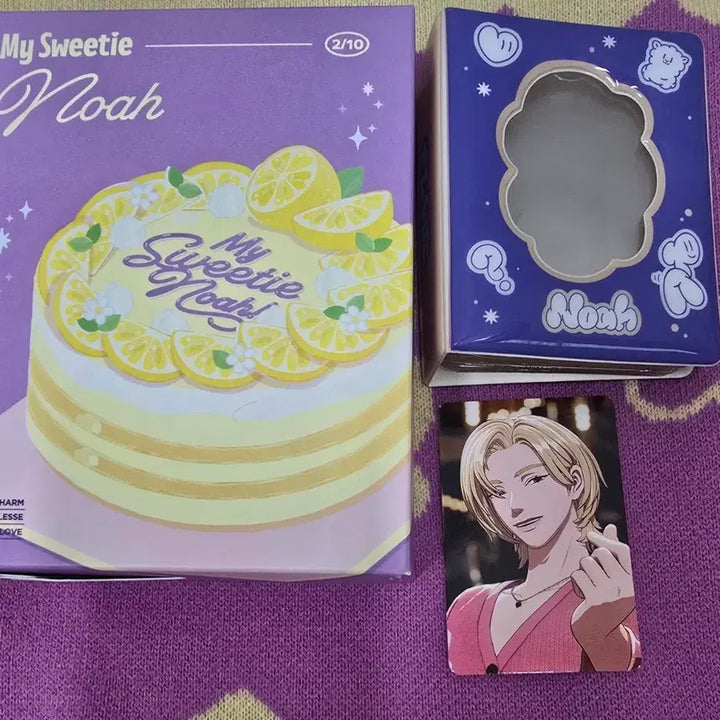 [BUNJANG] PlaYve Noah Why, Why, Why Binder + Photocard + Birthday Kit Bundle Set / 플레이브 노아 왜요왜요왜 바인더+포카+생일키트