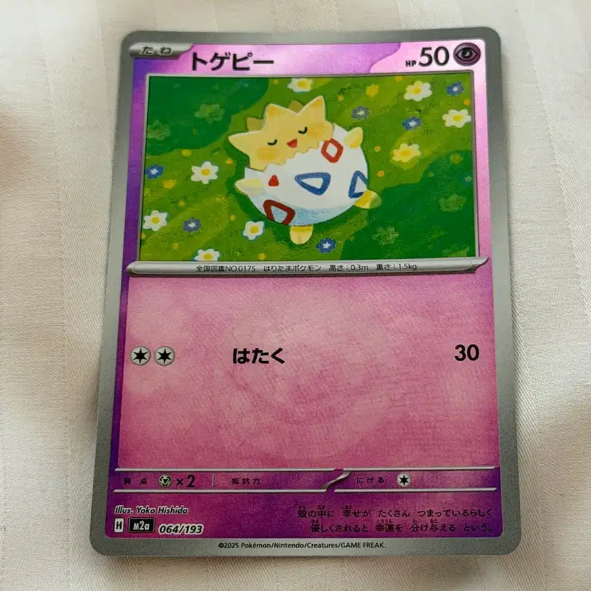 [BUNJANG] Pokemon Card Togepi Regular Holo Card / (일판) 포켓몬카드 토게피 일반카드 홀로