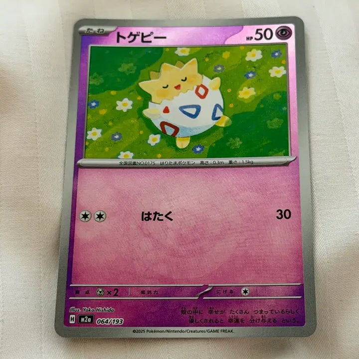 [BUNJANG] Pokemon Card Togepi Regular Holo Card / (일판) 포켓몬카드 토게피 일반카드 홀로