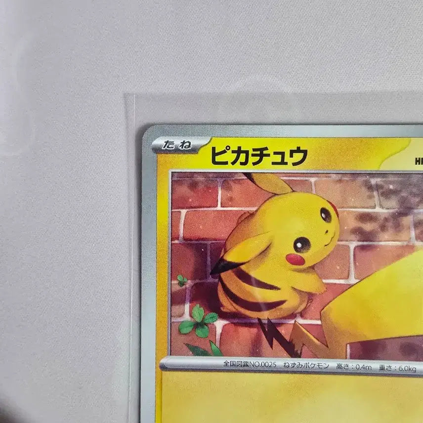 [BUNJANG] Pokemon Card Pikachu 023/071 Japanese Edition Illustration Card / 포켓몬카드 피카츄 023/071 일본판 일러스트 카드
