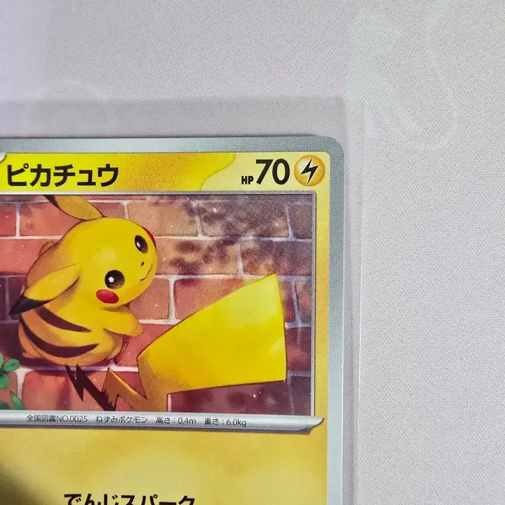 [BUNJANG] Pokemon Card Pikachu 023/071 Japanese Edition Illustration Card / 포켓몬카드 피카츄 023/071 일본판 일러스트 카드