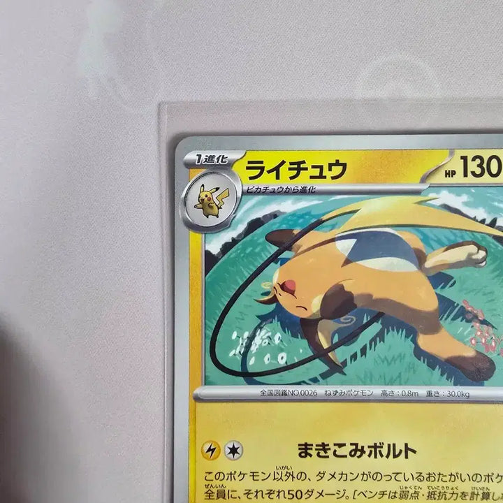 [BUNJANG] Pokemon Card Raichu 024/071 Japanese Version / 포켓몬카드 라이츄 024/071 일본판
