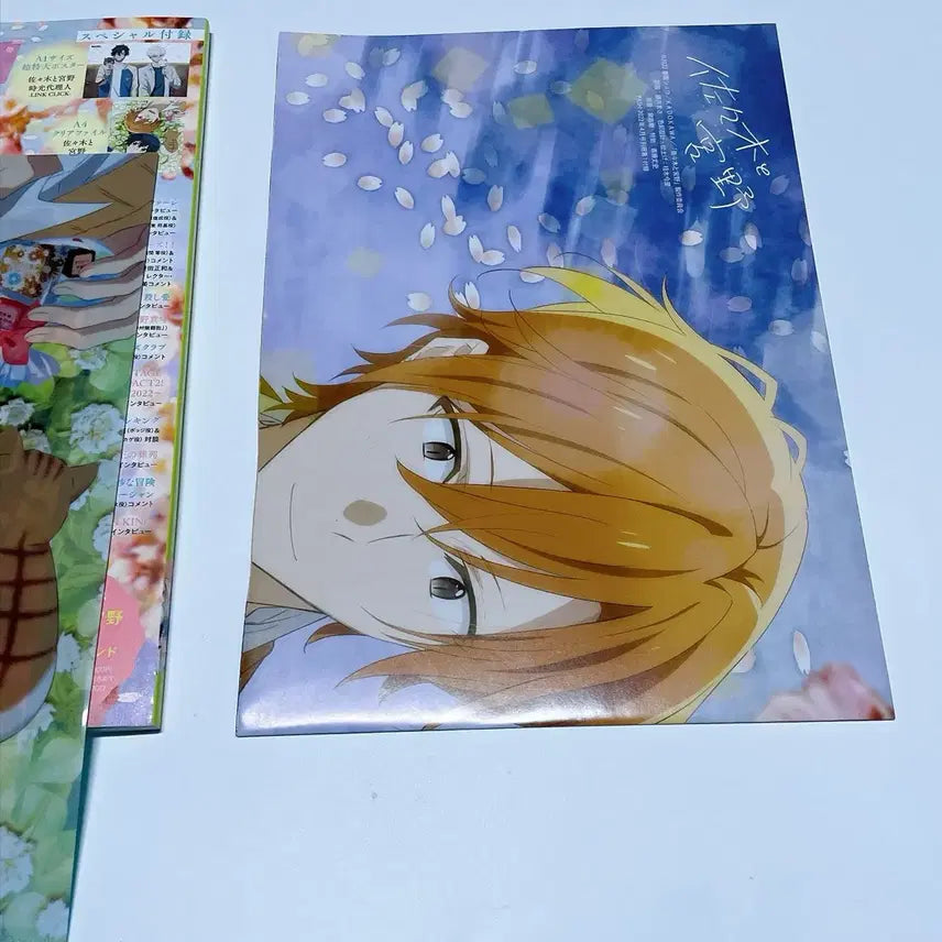 [BUNJANG] Sasaki and Miyano "Pash!" Magazine Folded Poster (April 2022 Issue) / 팟슈 pash! 22년 4월 사사키와 미야노 특전