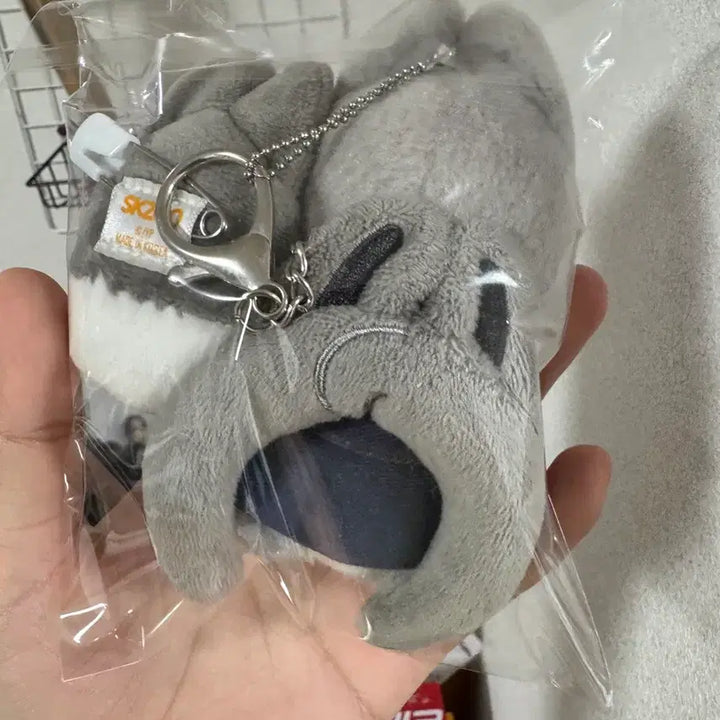 [BUNJANG] Baekhyun Bundle Set / 울프찬