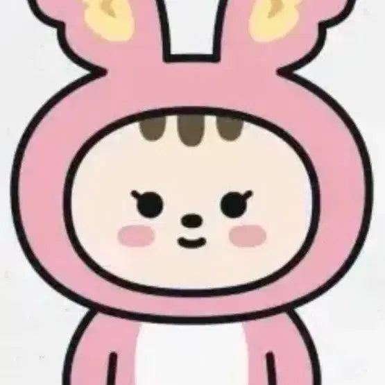 [BUNJANG] Jongho Ram Pouch / 쫑토람 파우치 팔아요(급처)