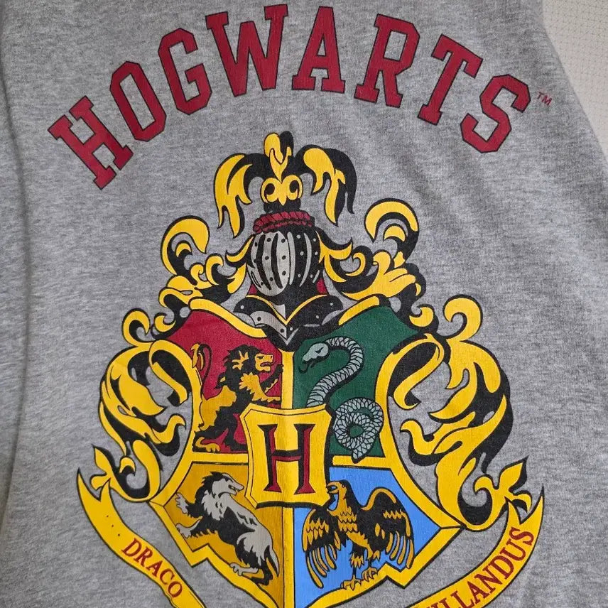 [BUNJANG] Harry Potter Hogwarts Short Sleeve T-Shirt / 해리포터 정품 호그와트 반팔티 L
