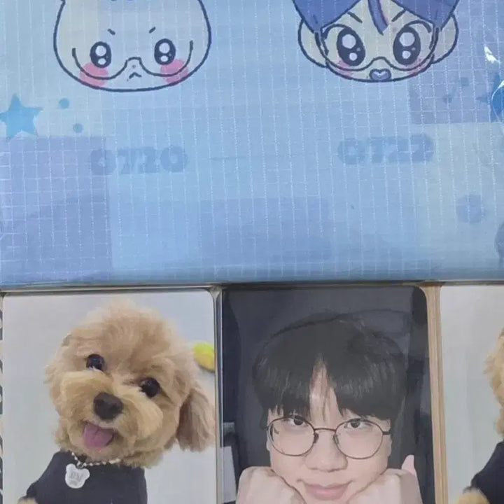 [BUNJANG] Doran Birthday Goods Bakubag and Photocard Set / (새상품) 도란 생일 굿즈