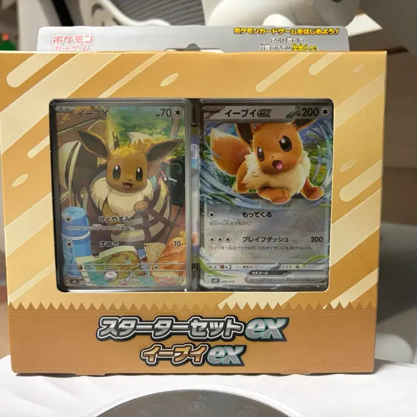 [BUNJANG] Pokemon Card Eevee Starter Set EX Nagoya Pokemon Center / 포켓몬 카드 이브이 스타터 세트 EX 나고야 포켓몬센터