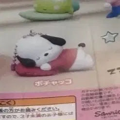 [BUNJANG] Sanrio Pochacco Sleeping Gacha Figure / 포차코 낮잠자는 가챠
