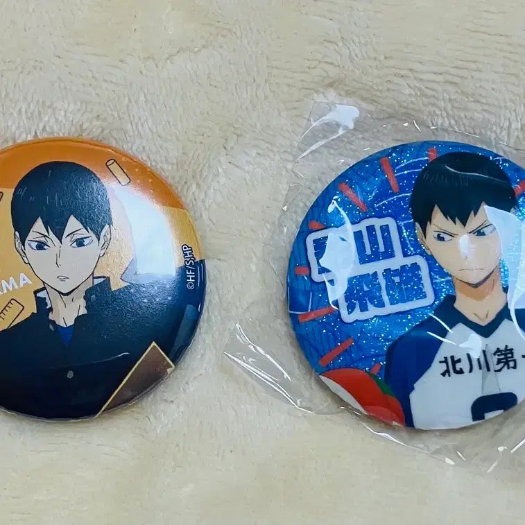 [BUNJANG] Kageyama Shoyo Bundle Set - Class Memories Can Badge / 일괄) 카게야마 캔뱃지 수업 추억