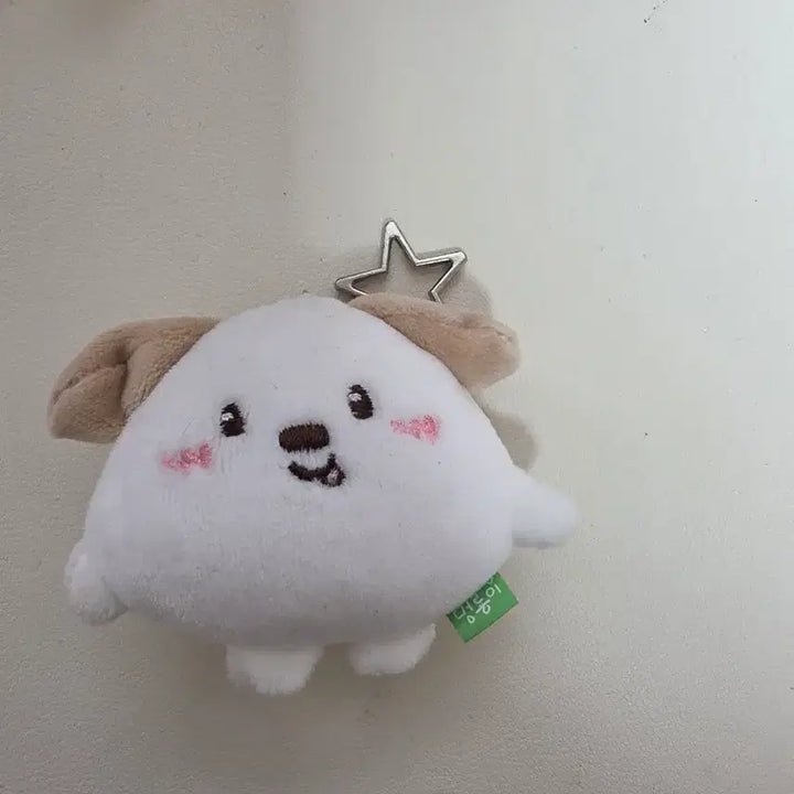 [BUNJANG] RIIZE Anton 7cm Mini Keyring / 멍룡이 앤톤 라이즈 리라즈 7cm 미니 키링