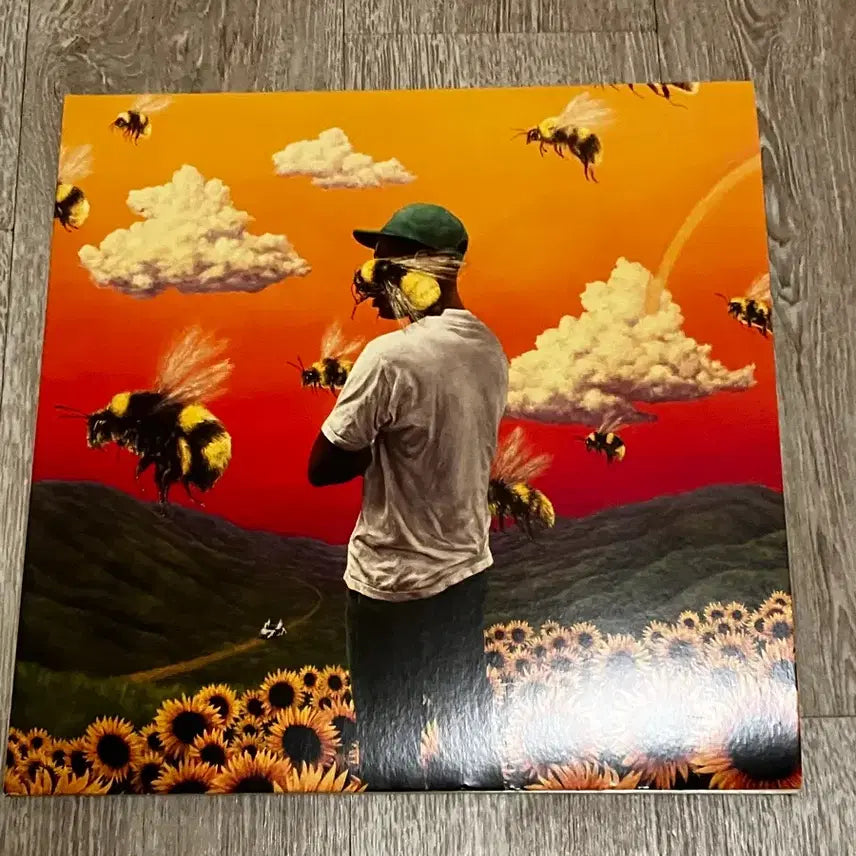 [BUNJANG] Tyler, The Creator Flower Boy LP / Flower boy Lp