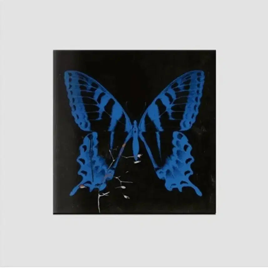 [BUNJANG] Song So Hee Gong Joong Mu Yong (Sealed) CD / 송소희 앨범 공중무용  (미개봉 CD)