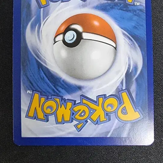 [BUNJANG] North America Wall-Slam Charmander / 북미 벽쿵 파이리