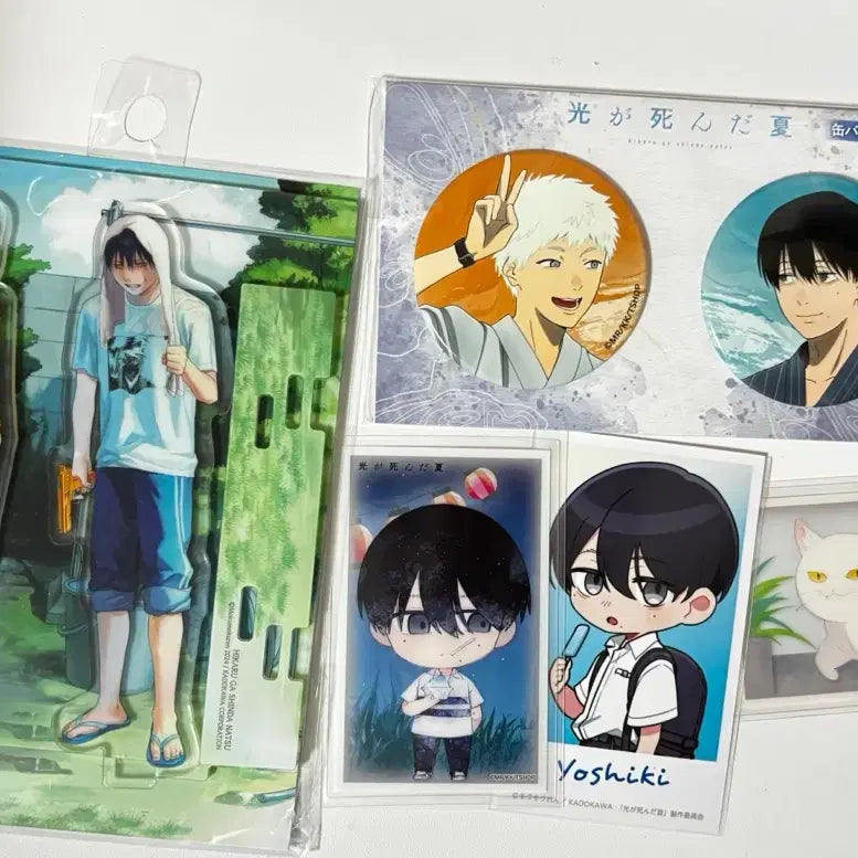 [BUNJANG] Hiyurihikaru Summer Acrylic Stand, Can Badge, Photocard Bundle Set / 히죽여 히카루가 죽은 여름 아크릴 스탠드,캔뱃지 포카 일괄
