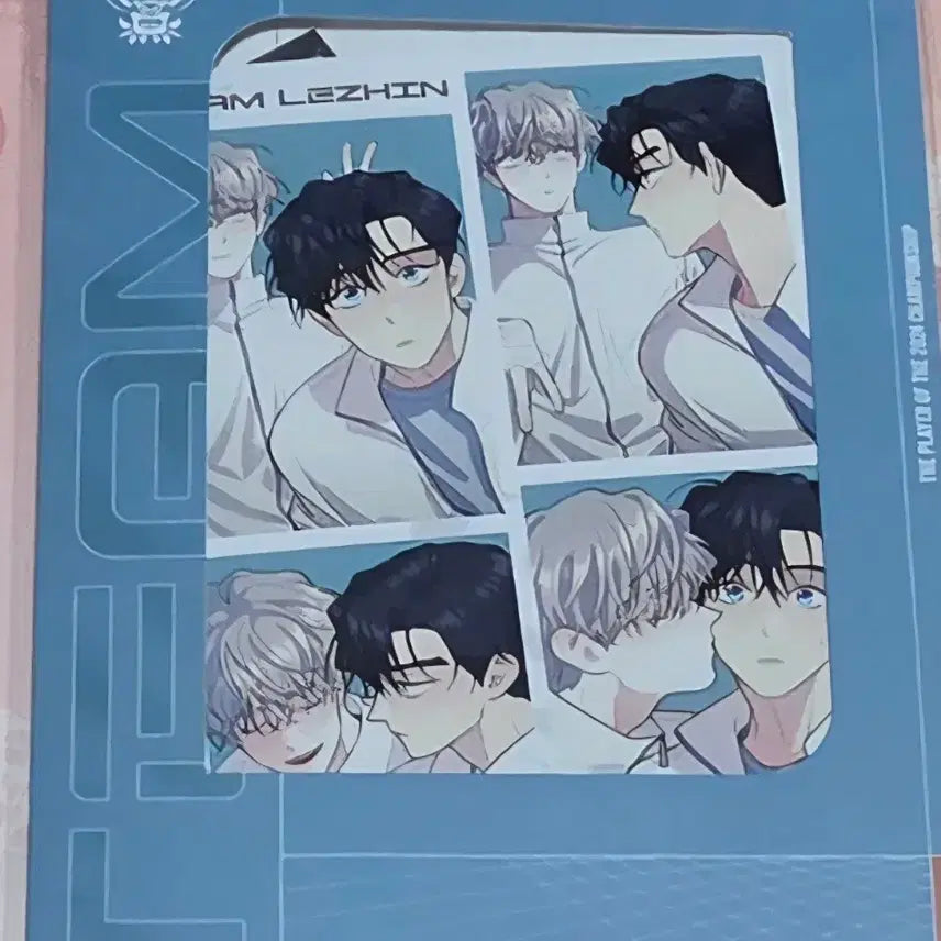 [BUNJANG] Bboori Eomneun Namu Team Resin Cheonsu Village Film Package / 뿌리없는나무 팀레진 선수촌 필름 패키지 뿌없나