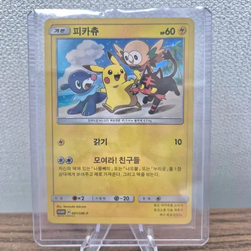 [BUNJANG] Pokemon TCG Pikachu Promo Card / 포켓몬스터 카드 모여라 피카츄  프로모