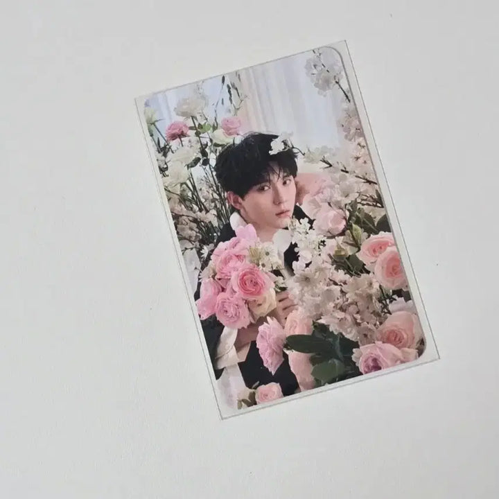 [BUNJANG] Zhou Yiran Natural Tang &amp; Hwagan Song Photocard Bundle Set / 주익연 자연당&amp;화간송 포카 (일괄판매)