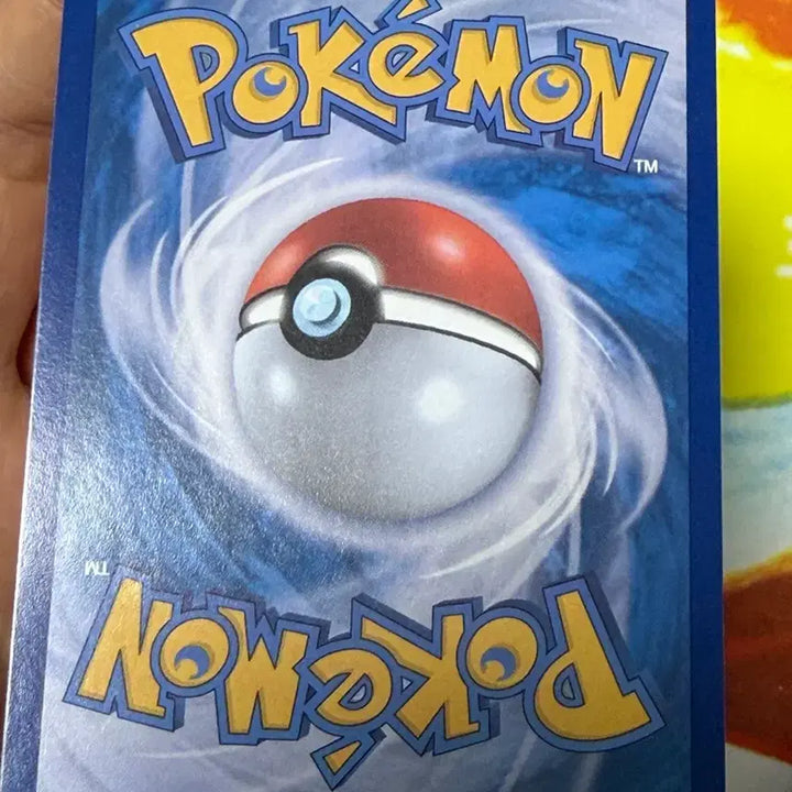 [BUNJANG] Pokemon Card - Flame Body SAR / 포켓몬카드 파라블레이즈sar