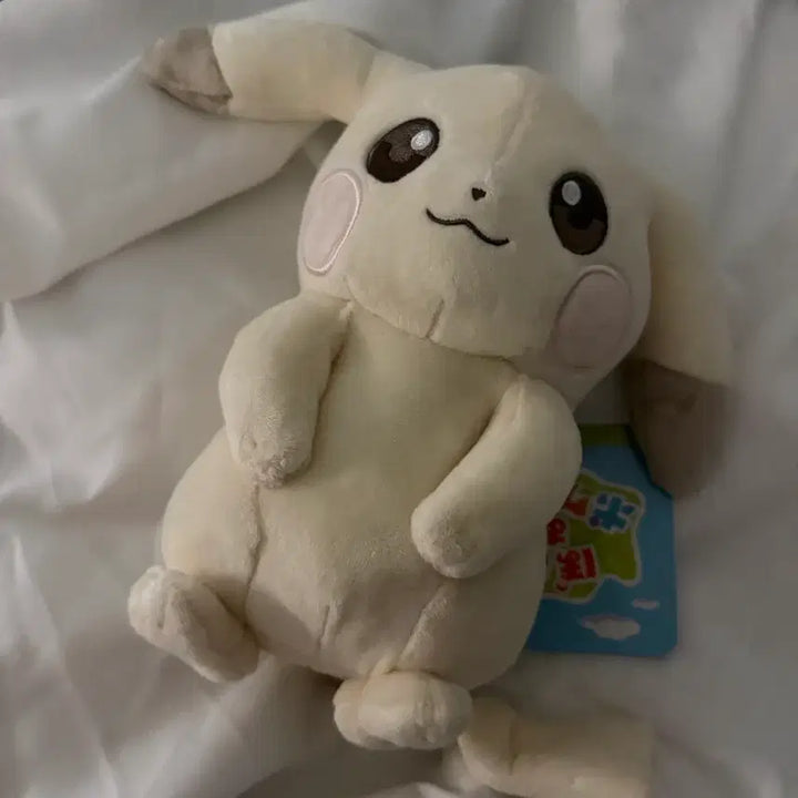 [BUNJANG] Pochipia Pikachu Plush Keychain Set / 일본 창백카츄 창백한 피카츄 포코피아 누이 키링 인형 일괄 현물