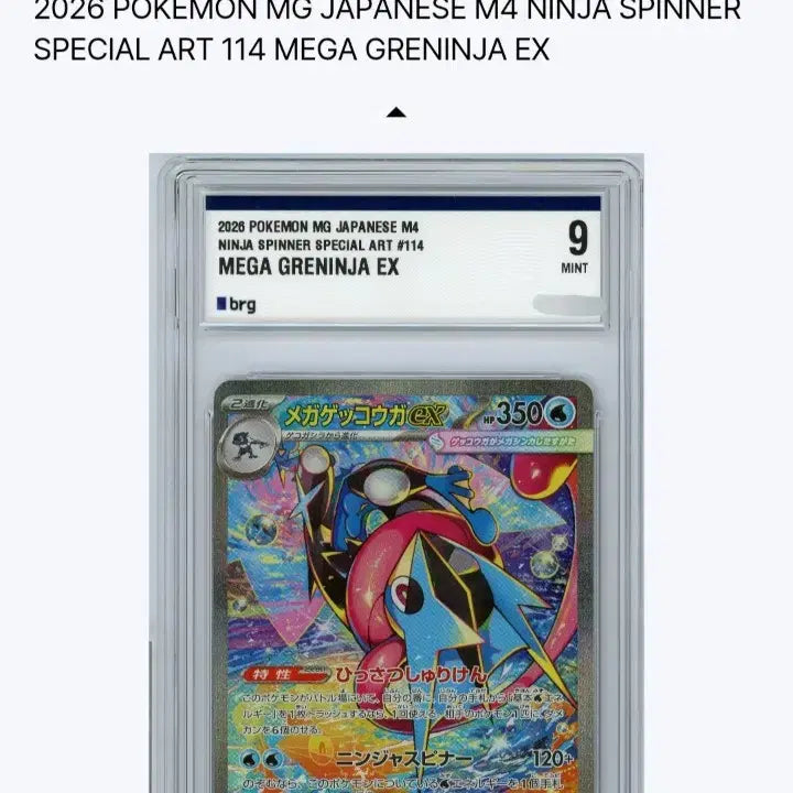 [BUNJANG] Pokemon TCG Korean Near Mint+ Bulk Lot / 급처 일괄로 팔아요(가격제시 받음)