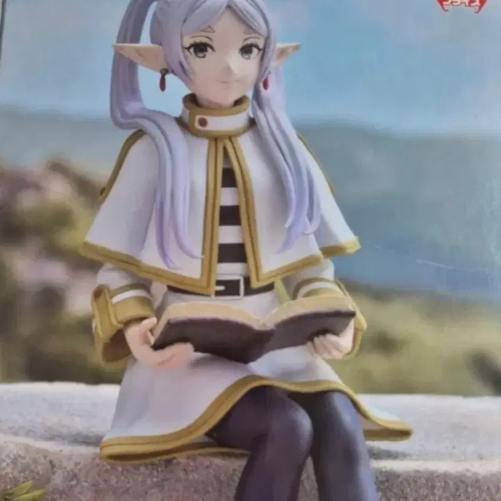 [BUNJANG] Sealed Figure / 피규어