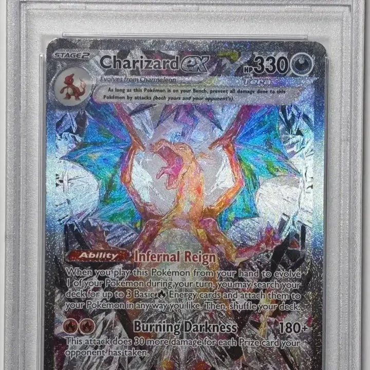 [BUNJANG] Pokemon Card Charizard SAR PSA 8 Graded North American Edition / 북미판 포켓몬카드 리자몽 sar psa 8등급 판및교