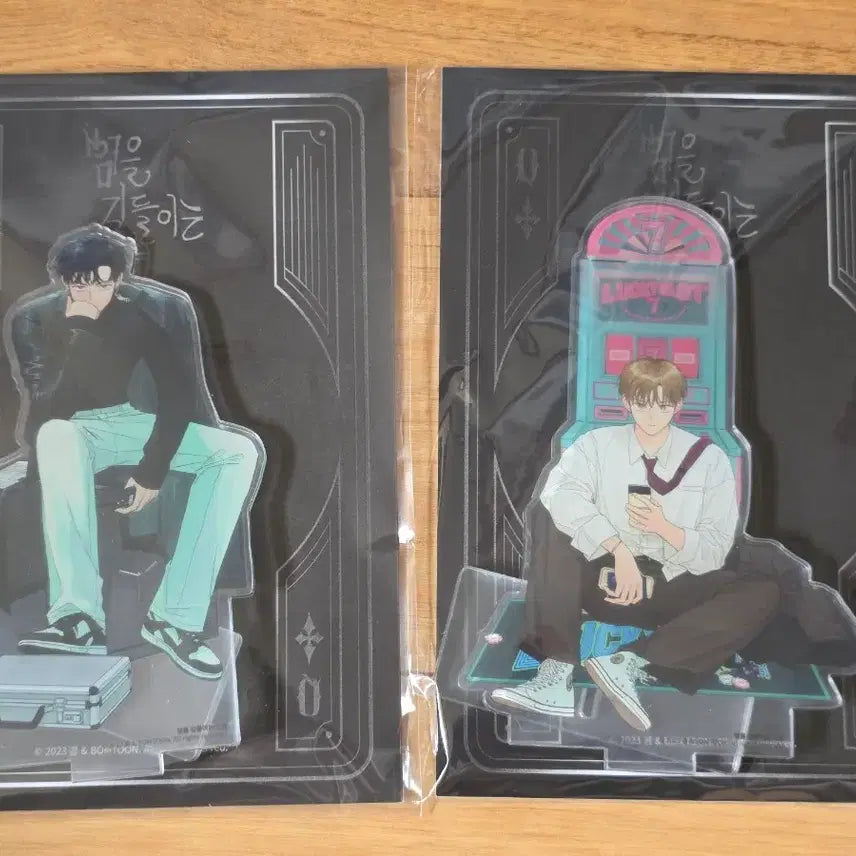 [BUNJANG] How to Train Your Dragon Black Cat/Tiger Acrylic Stand (Sealed) / 범을 길들이는 요령 범길요 범요령 물밤 흑묘력 흑호력 아크릴스탠드 미개봉