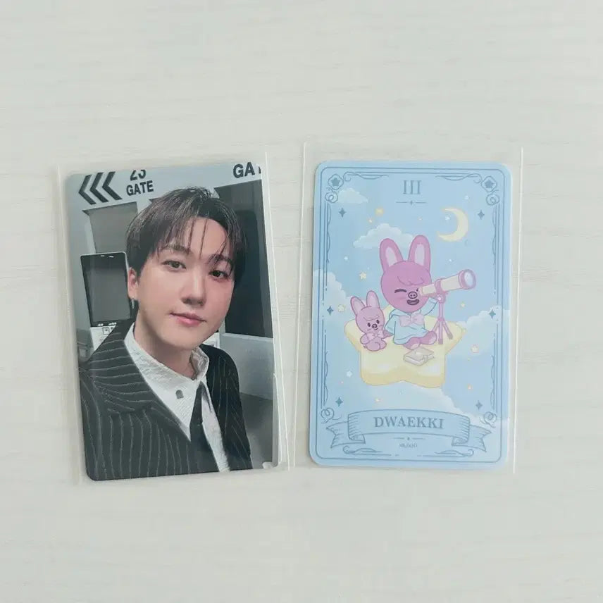[BUNJANG] Stray Kids Japan 10,000 Yen Lucky Draw Changbin Photocard / 스키즈 재팬 1만엔 특전 창빈 &amp; 생카 행운카드 돼끼 양도