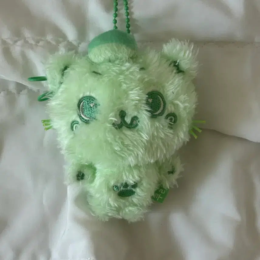 [BUNJANG] Kuri Plush Green / 컬러 초록 쿠리