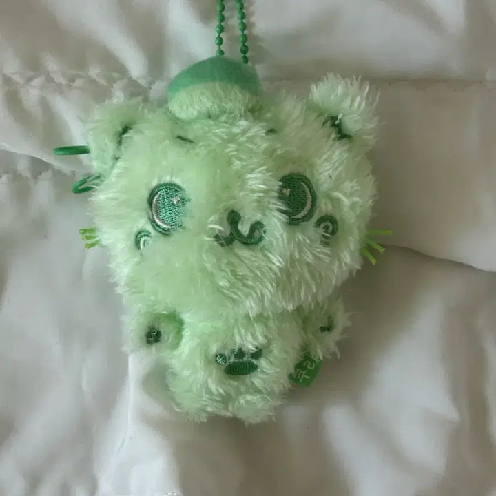 [BUNJANG] Kuri Plush Green / 컬러 초록 쿠리