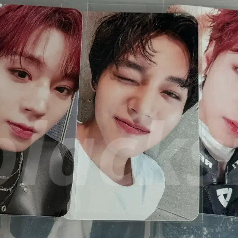 [BUNJANG] Park Ji Hoon NITRO MamuTe POB Bundle Set / 박지훈 나이트로 마뮤테 미공포 3장일괄