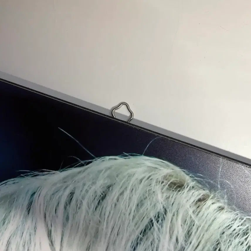 [BUNJANG] V (BTS) Exhibition Frame A3 / 뷔 홈마 전시회 액자 a3 판매해요