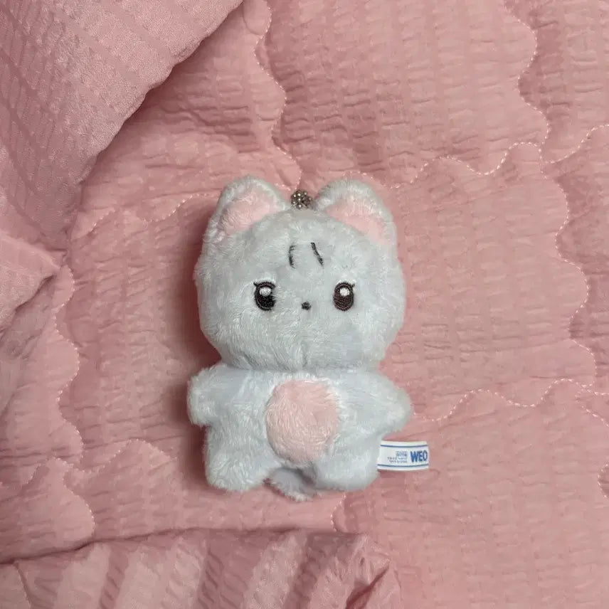 [BUNJANG] The Boyz New Chani Cat 10cm Doll / 더보이즈 뉴 차니냥 양도