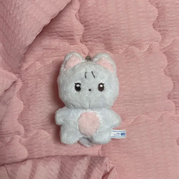 [BUNJANG] The Boyz New Chani Cat 10cm Doll / 더보이즈 뉴 차니냥 양도