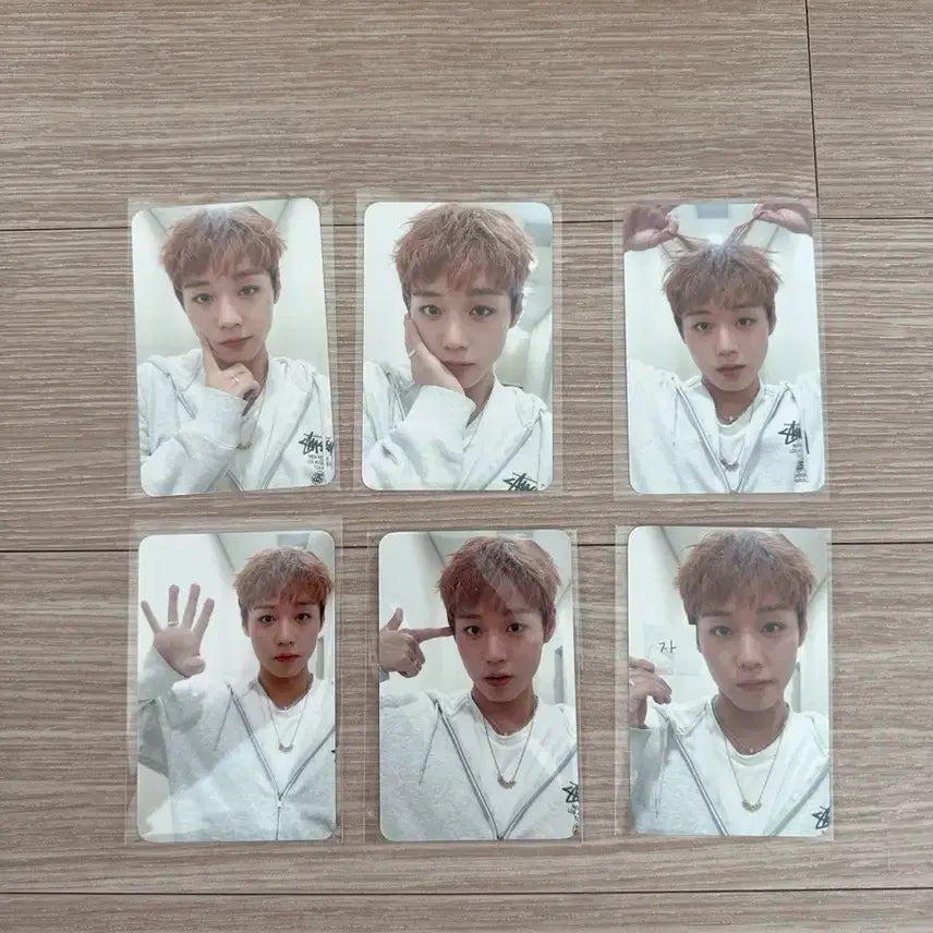 [BUNJANG] Park Ji Hoon Fancon MD Photocard Bundle Set / 박지훈 팬콘 MD 포카 판매합니다(사귀자 포카 포함)